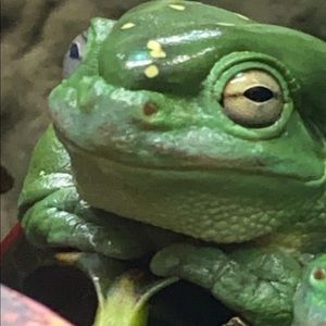 Meet your Posher, Michael